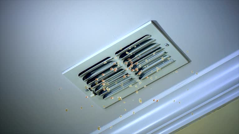 Best HVAC System Cleaning  in Tuckahoe, VA