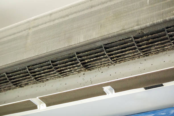 Best HVAC System Cleaning  in Tuckahoe, VA